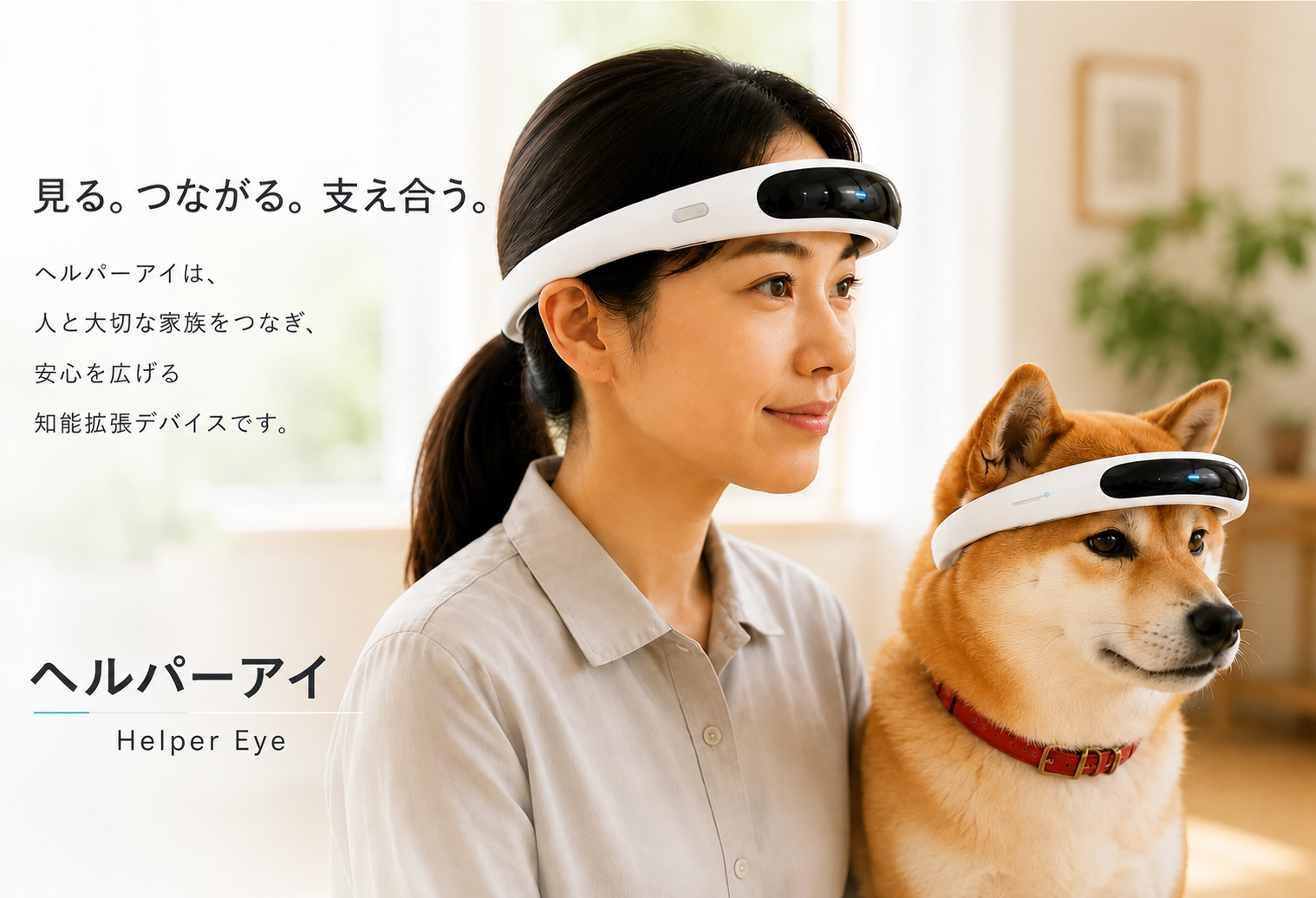 ヘルパーアイ の構想・機能説明